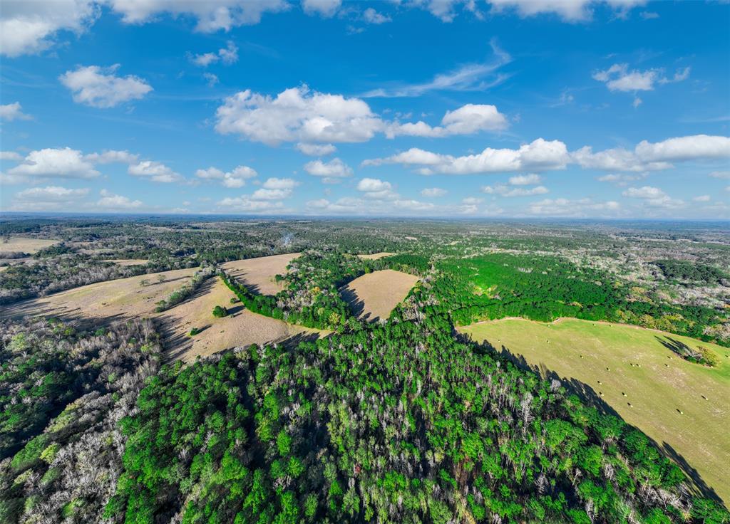 0 Acr 153 Palestine, TX 75801 - Photo 3 of 20 a view of a lake with a yard