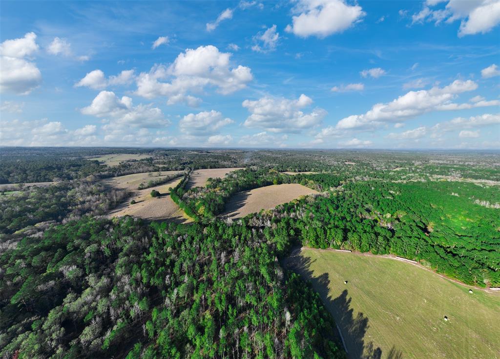 0 Acr 153 Palestine, TX 75801 - Photo 4 of 20 a view of a lake with a yard