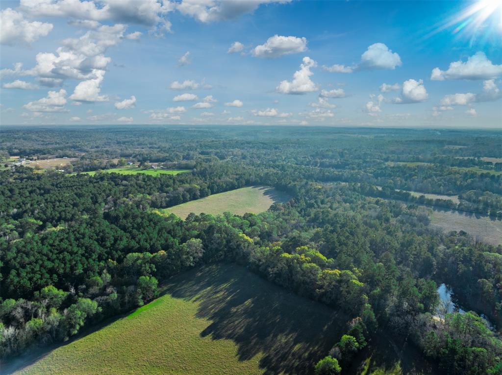 0 Acr 153 Palestine, TX 75801 - Photo 6 of 20 a view of a yard