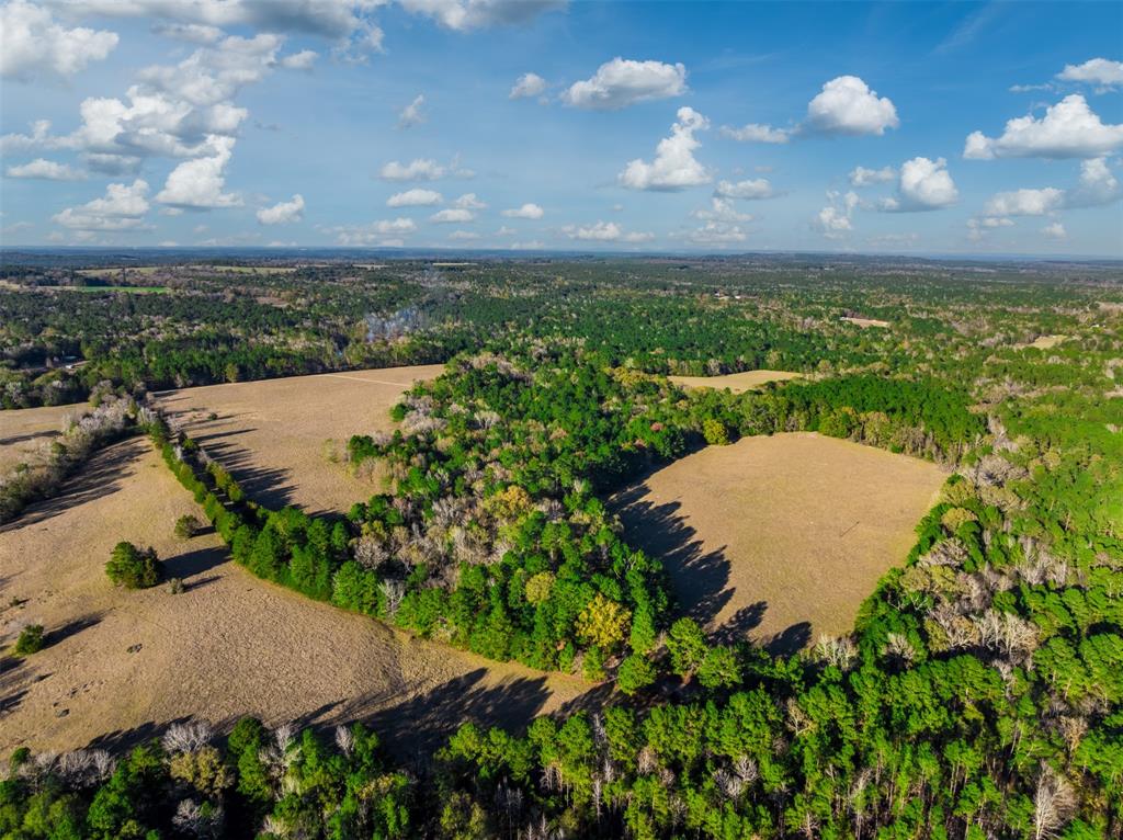 0 Acr 153 Palestine, TX 75801 - Photo 7 of 20