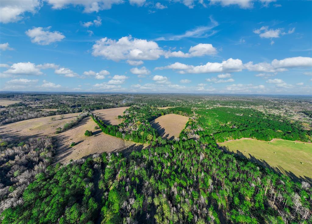 0 Acr 153 Palestine, TX 75801 - Photo 8 of 20 a view of a lake with a yard