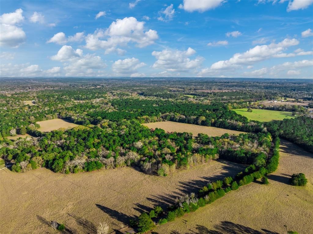 0 Acr 153 Palestine, TX 75801 - Photo 9 of 20 a view of a lake with a city