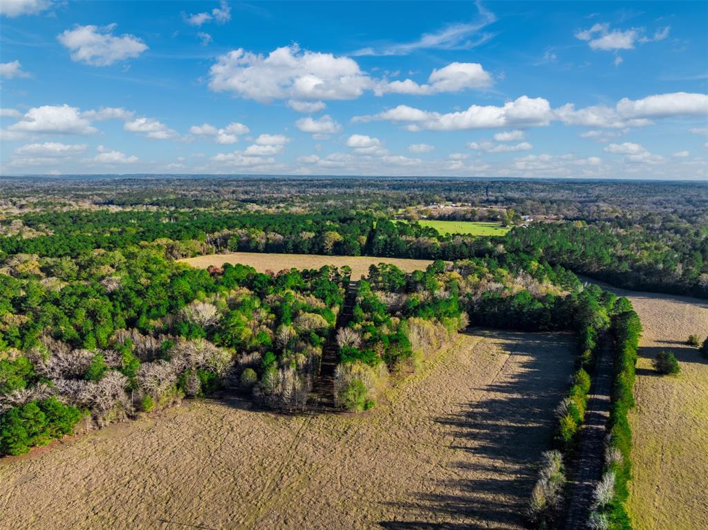 0 Acr 153 Palestine, TX 75801 - Photo 10 of 20 a view of a lake with a city