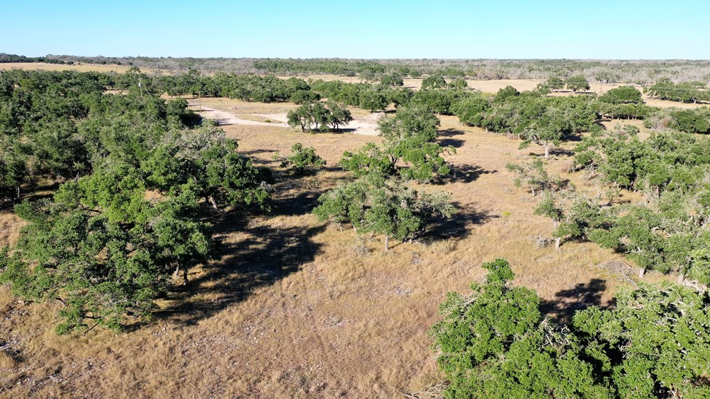125 Stevens Ranch Road, Unit 1 Harper, TX 78631 - Photo 19 of 21 Gallery Image 19