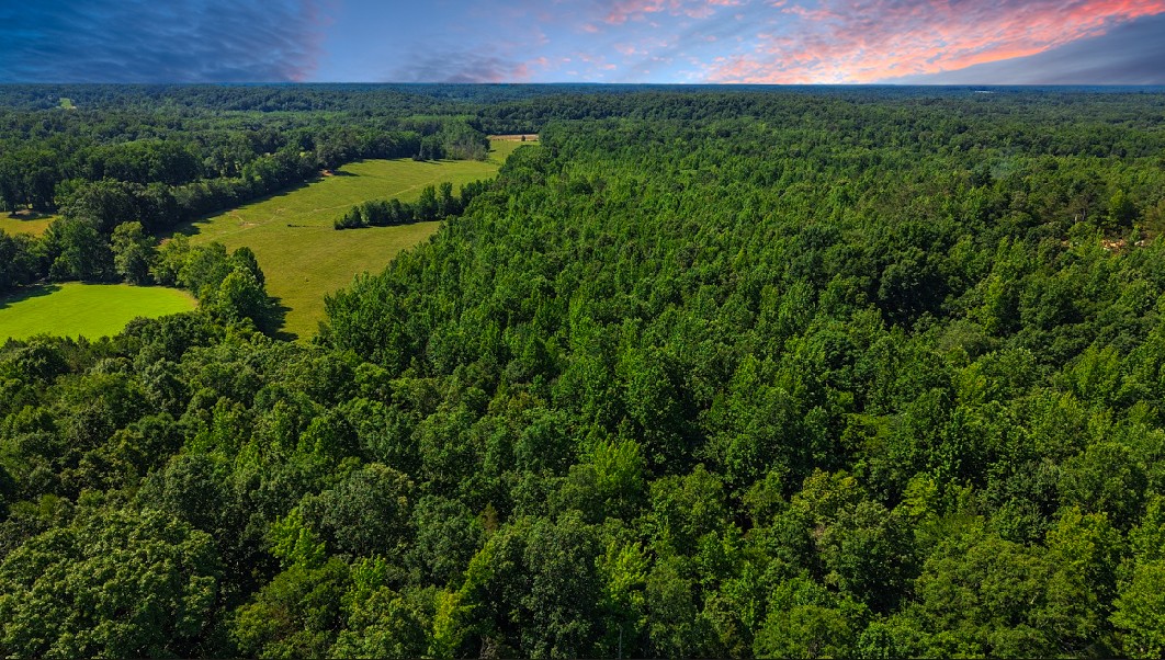 0 Beech Ridge Road Parsons, TN 38363 - Photo 14 of 14