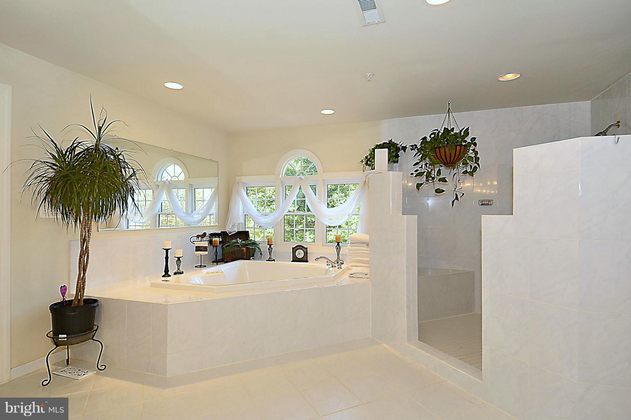 12413 Pueblo Road Gaithersburg, MD 20878 - Photo 17 of 29 Bath (Master)