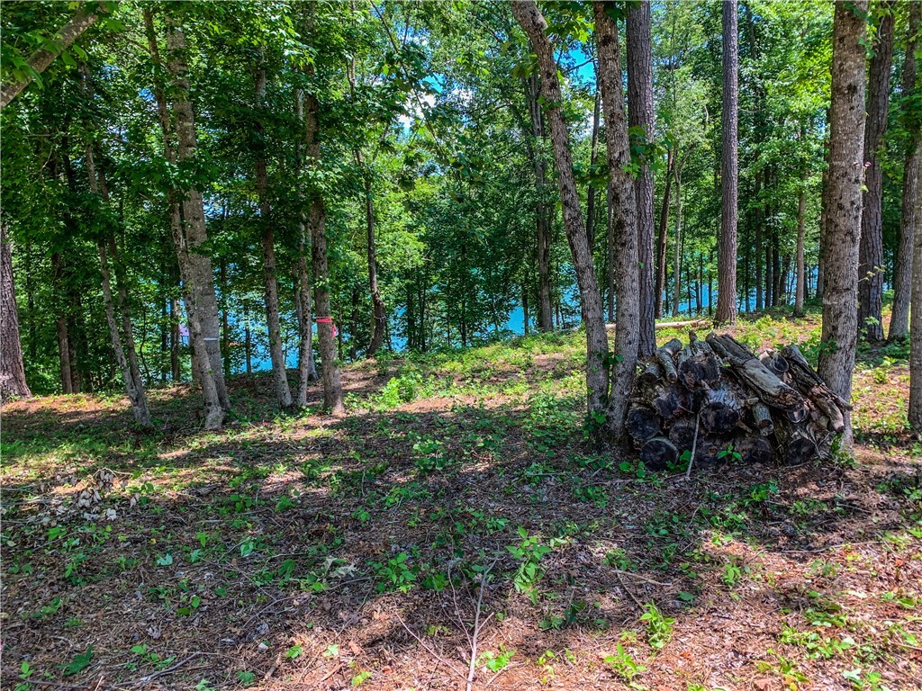 407 Peninsula Ridge Sunset, SC 29685 - Photo 11 of 15 Gallery Image 11