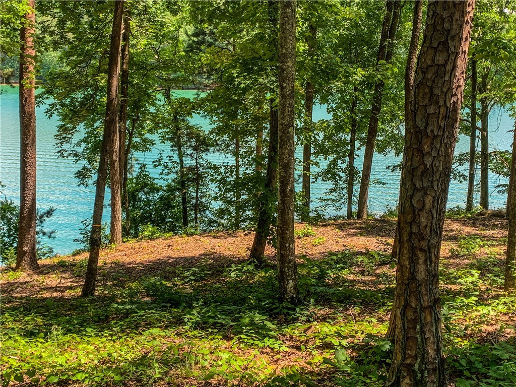 407 Peninsula Ridge Sunset, SC 29685 - Photo 12 of 15 Gallery Image 12