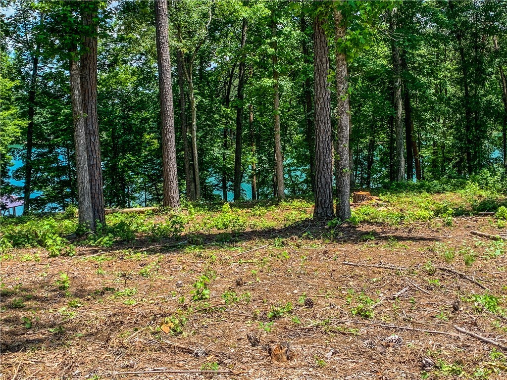 407 Peninsula Ridge Sunset, SC 29685 - Photo 13 of 15 Gallery Image 13