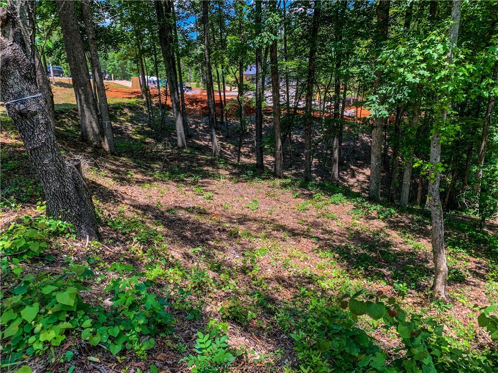 407 Peninsula Ridge Sunset, SC 29685 - Photo 8 of 15 Gallery Image 8
