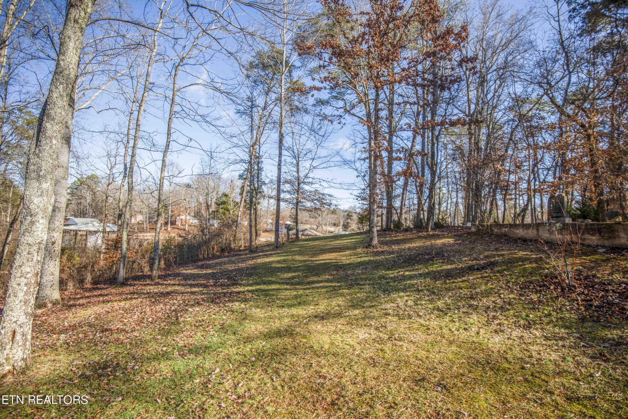 174 Spring Cove Lane Spring City, TN 37381 - Photo 38 of 50 a view of street with large trees