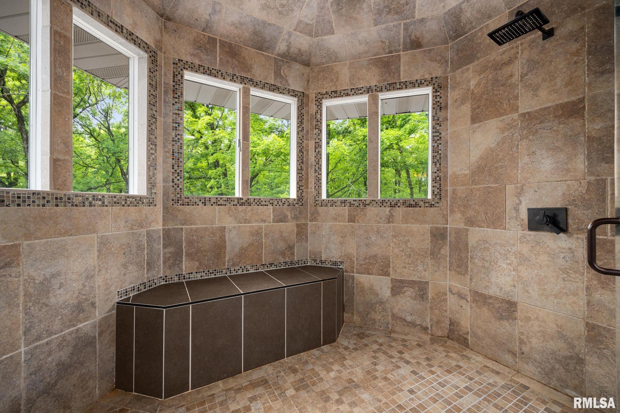 12227 Wood Ridge Court Dunlap, IL 61525 - Photo 34 of 54