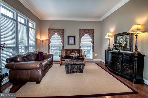 6324 Still Spring Place Alexandria, VA 22315 - Photo 2 of 30 Living Room