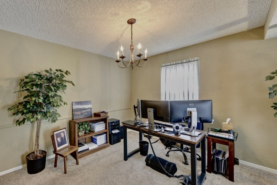 11719 Cedar Form Lane Meadows Place, TX 77477 - Photo 7 of 39 a view of a livingroom with furniture and a potted plant