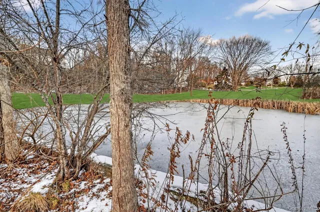 front view of house with a yard