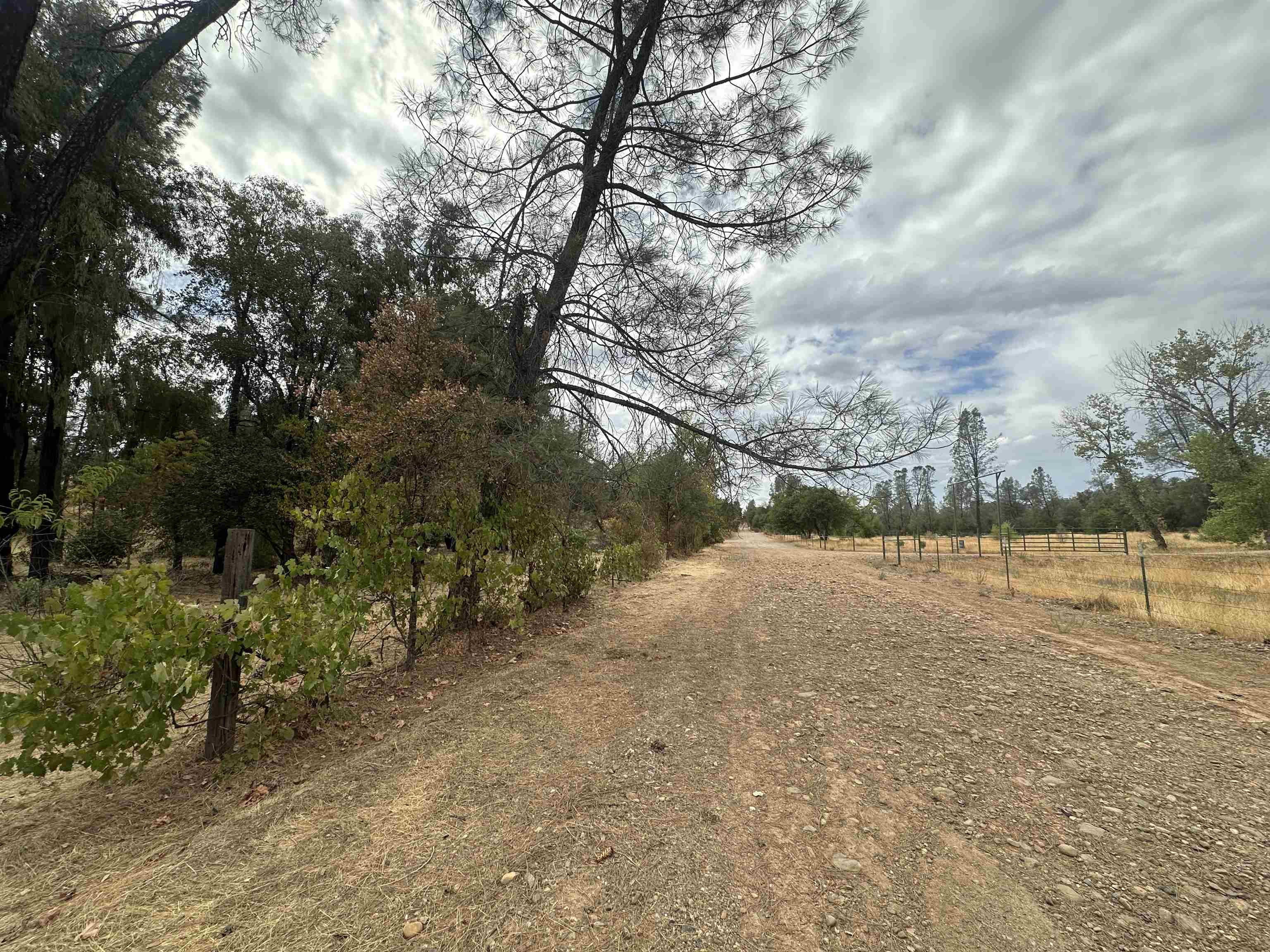 4733 Coyote Road Anderson, CA 96007 - Photo 3 of 5