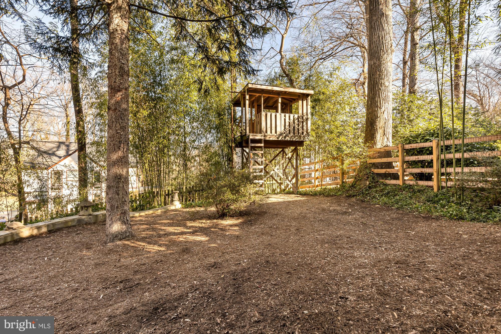 6317 Poe Road Bethesda, MD 20817 - Photo 40 of 43 a view of a backyard with large trees