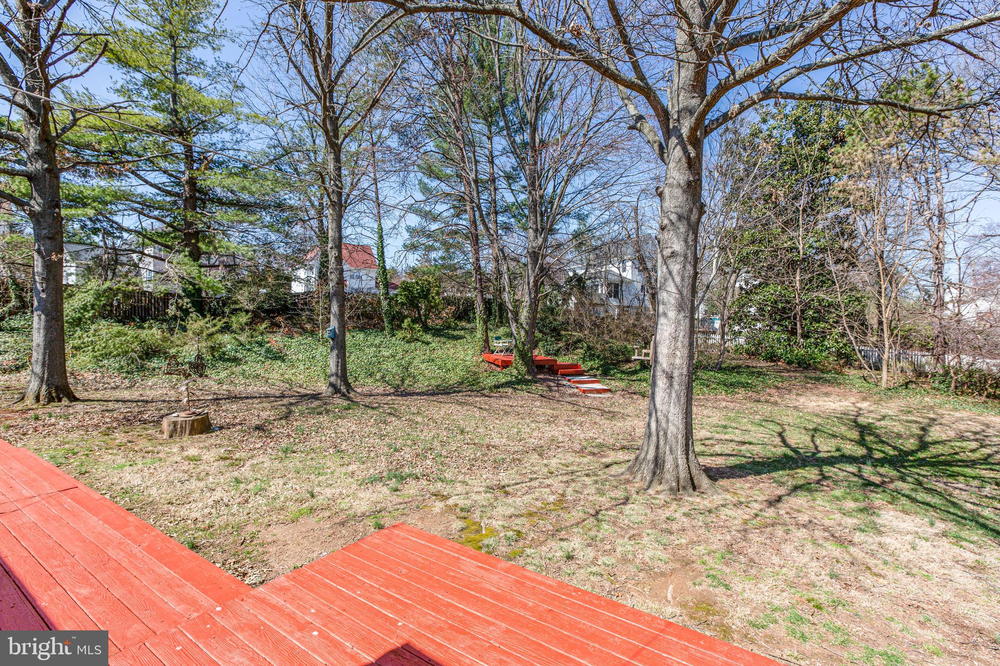 4500 Franconia Road Alexandria, VA 22310 - Photo 29 of 44