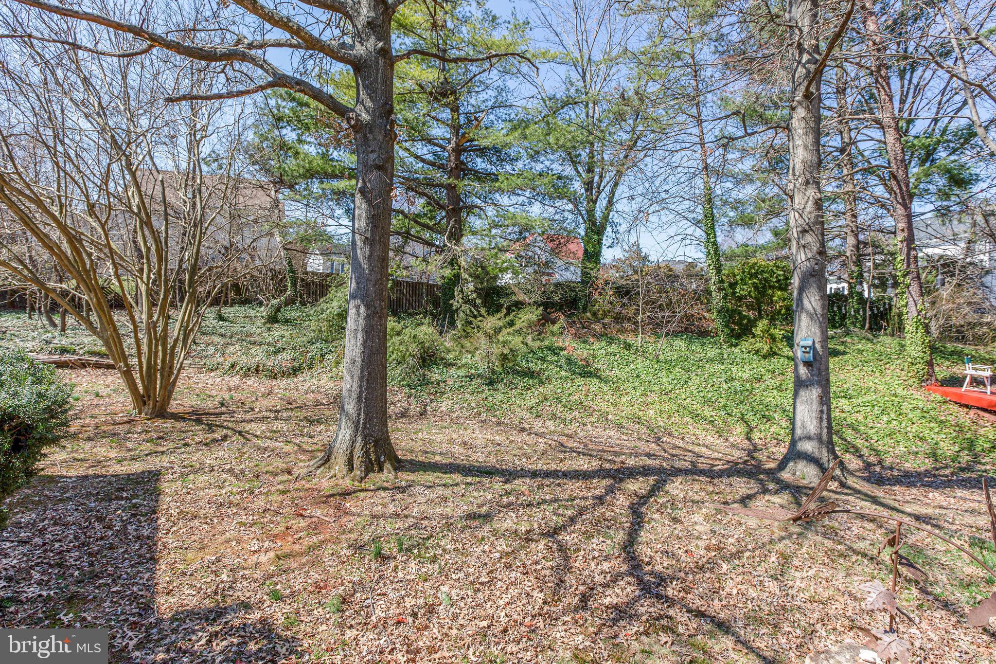 4500 Franconia Road Alexandria, VA 22310 - Photo 36 of 44