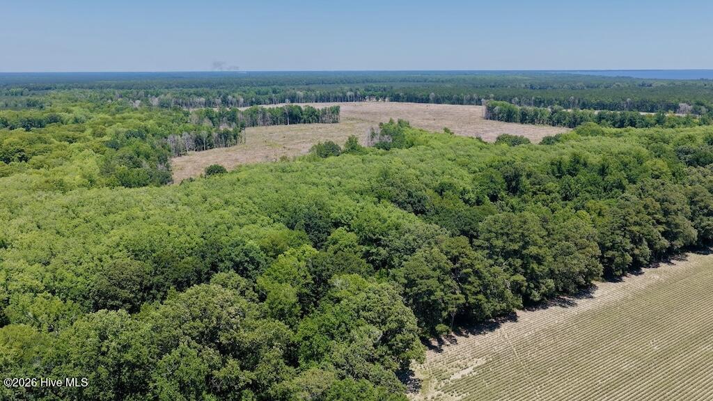 500 Indian Trail Road Edenton, NC 27932 - Photo 32 of 60