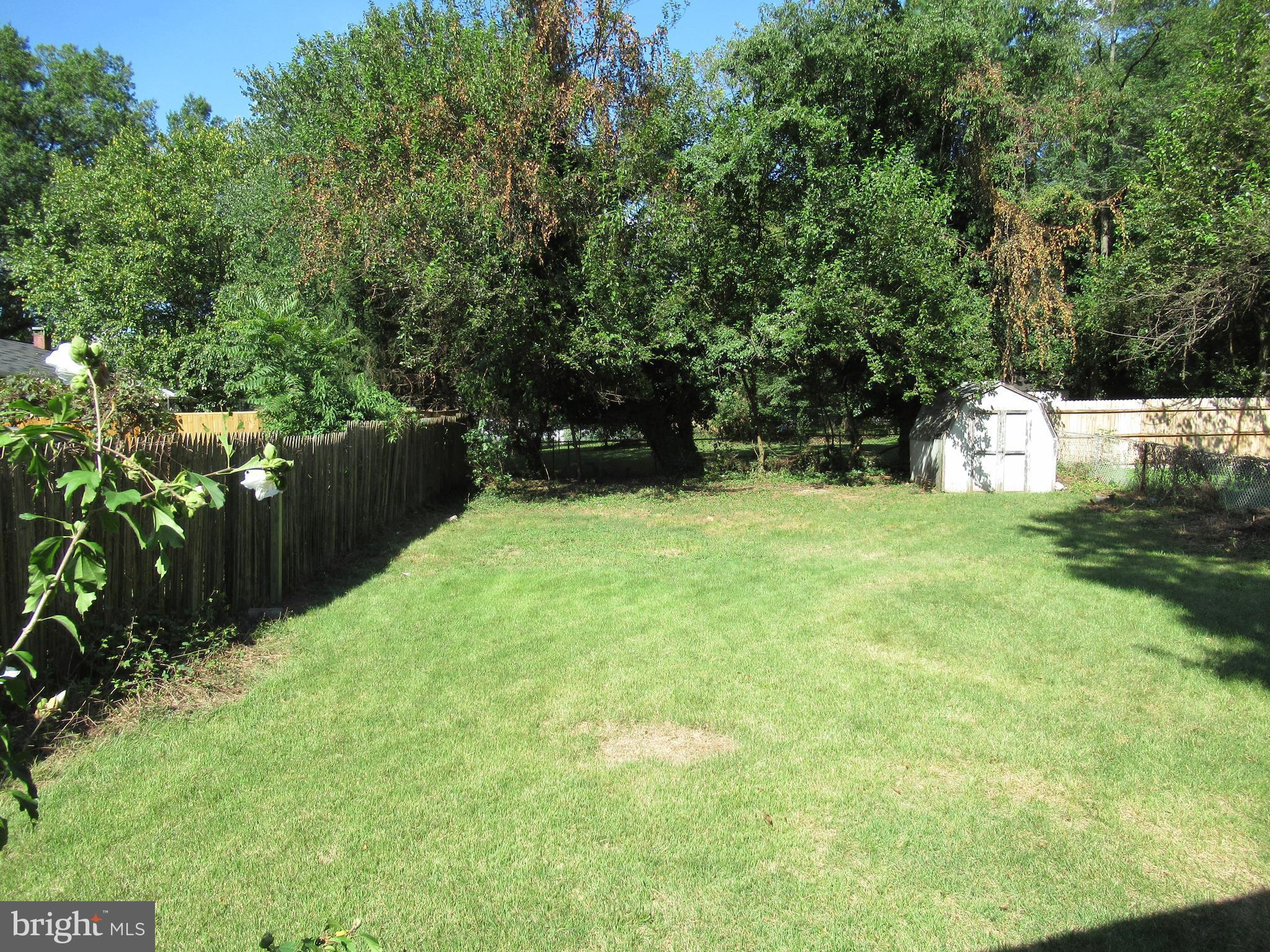 5608 Berwyn Road Berwyn Heights, MD 20740 - Photo 22 of 24 a view of backyard with green space