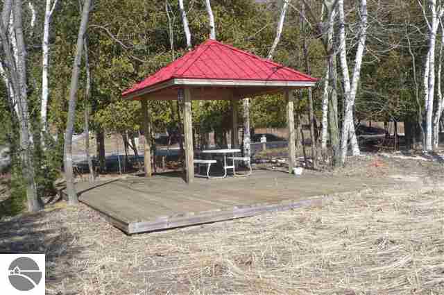 0 Spring Valley Beulah, MI 49617 - Photo 12 of 25
