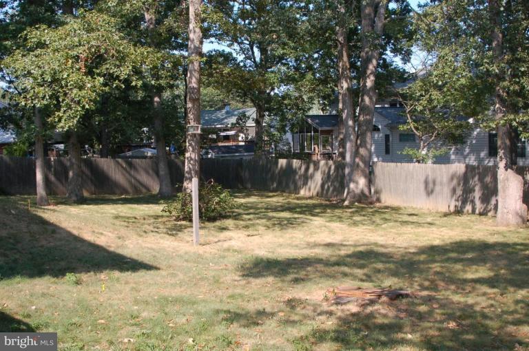 6305 Wayles Street Springfield, VA 22150 - Photo 2 of 14 Back yard