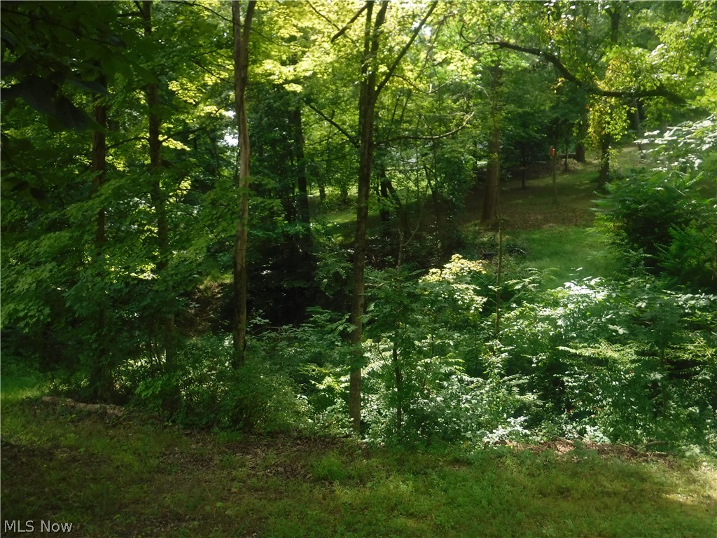 Carol Lane Dresden, OH 43821 - Photo 7 of 12 View across the ravine into back lot.