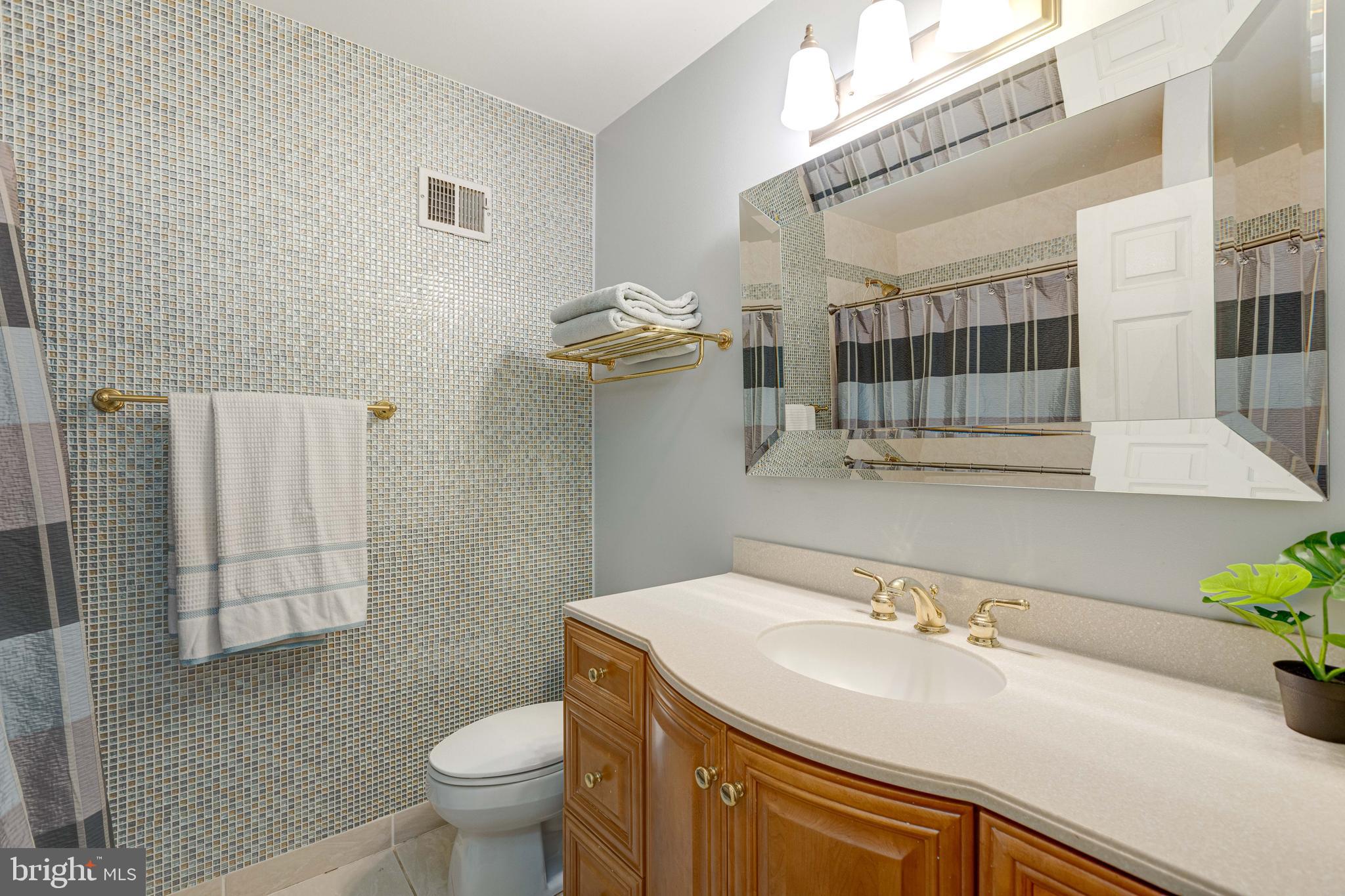 2408 Old Trace Lane Reston, VA 20191 - Photo 20 of 45 Primary bathroom on main level