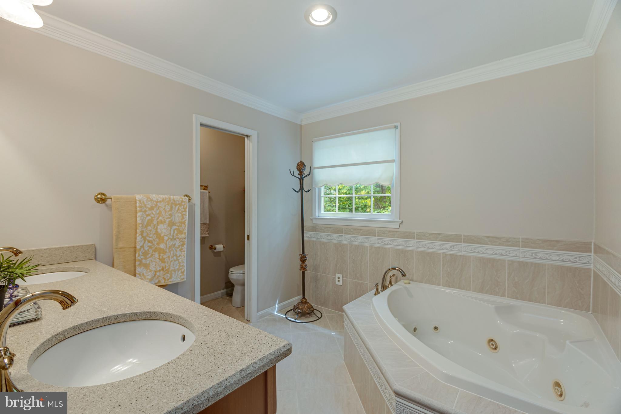 2408 Old Trace Lane Reston, VA 20191 - Photo 24 of 45 Primary bathroom on main level