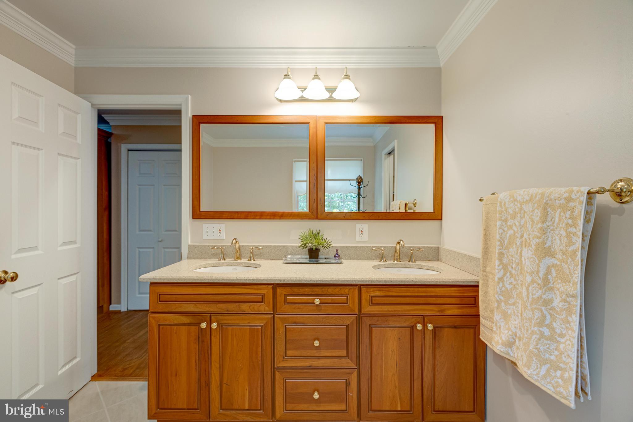 2408 Old Trace Lane Reston, VA 20191 - Photo 25 of 45 Primary bathroom on main level