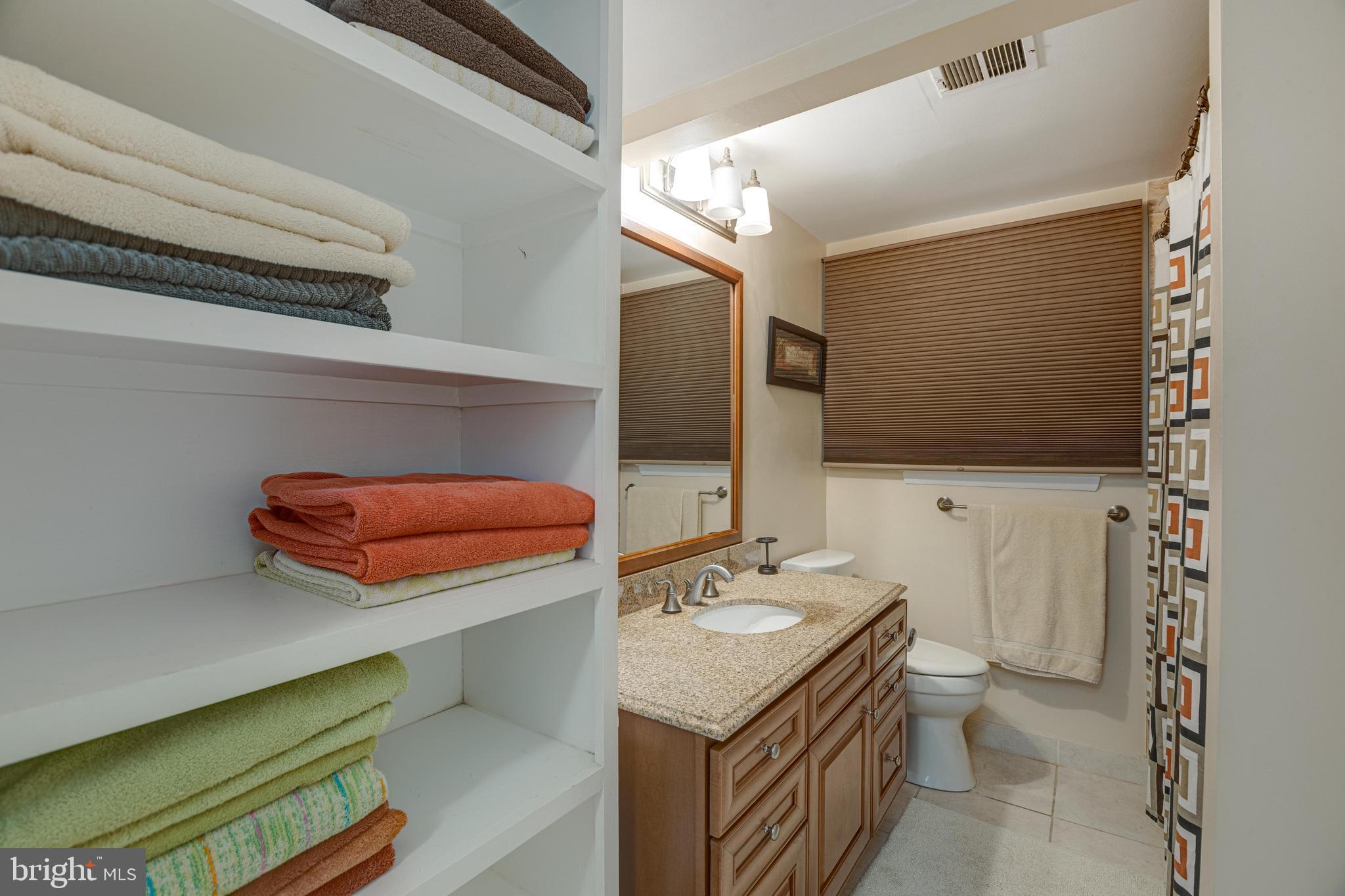 2408 Old Trace Lane Reston, VA 20191 - Photo 36 of 45 Lower level full bathroom