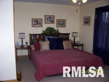 722 Haney Road Carbondale, IL 62901 - Photo 5 of 6