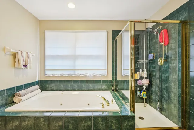 a bathroom with a bathtub and a shower