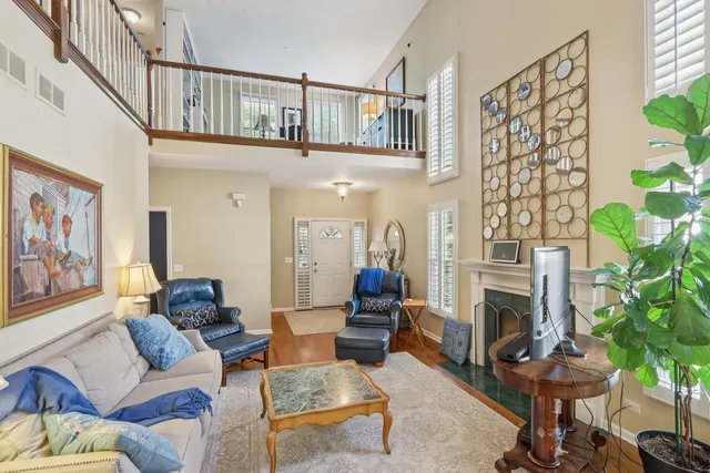 a living room with furniture a fireplace and a potted plant