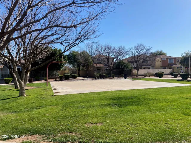 a view of a park with large trees