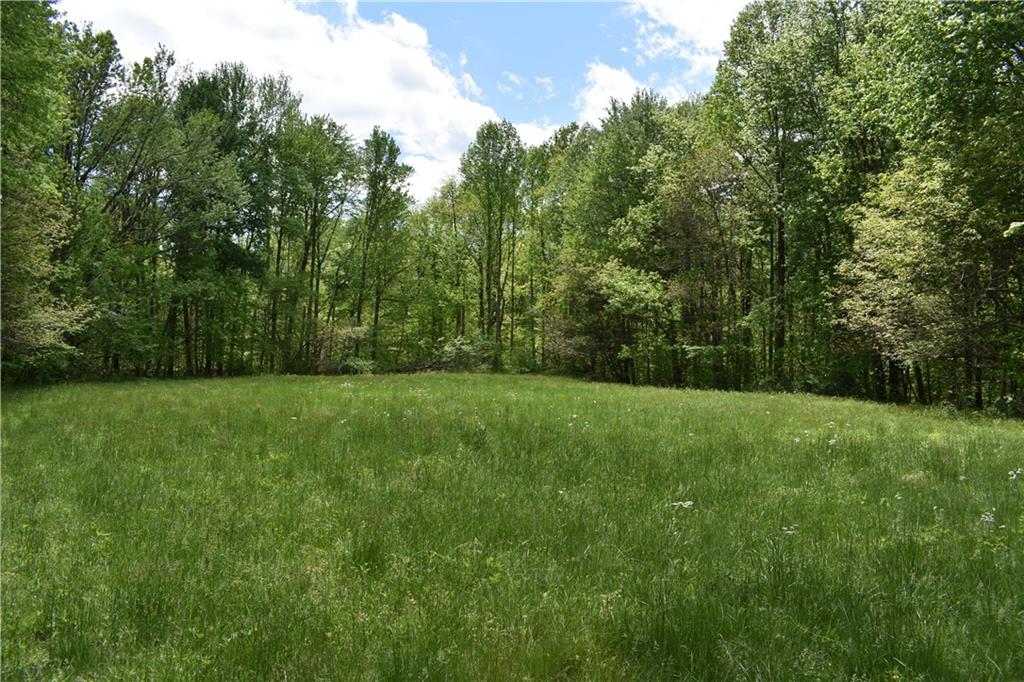 2909 Dubois Road Spencer, IN 47460 - Photo 11 of 13