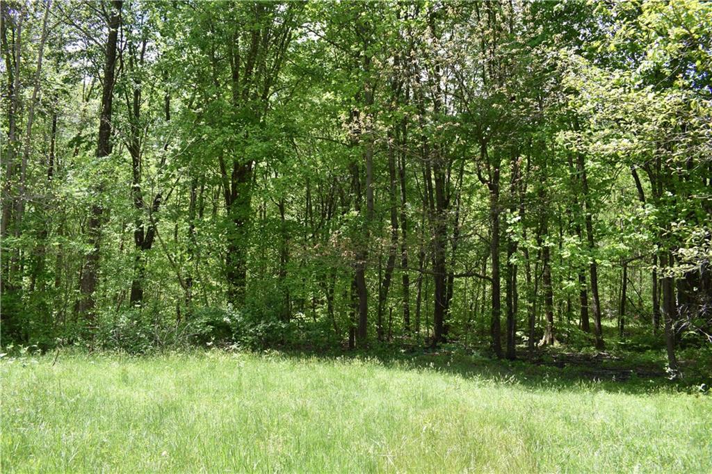 2909 Dubois Road Spencer, IN 47460 - Photo 12 of 13