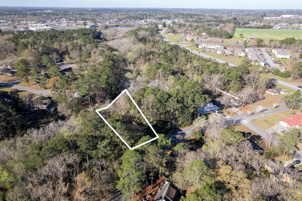 0 Shady Brook Lane Dothan, AL 36303 - Photo 4 of 7