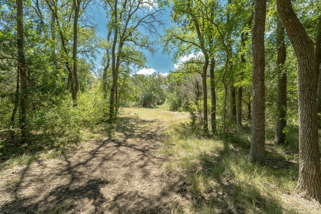 3550 County Road 245 Florence, TX 76527 - Photo 26 of 38 Perfect blend of Pasture & Woods - Abundance wild life - riding trails - enchanted forest for exploring!