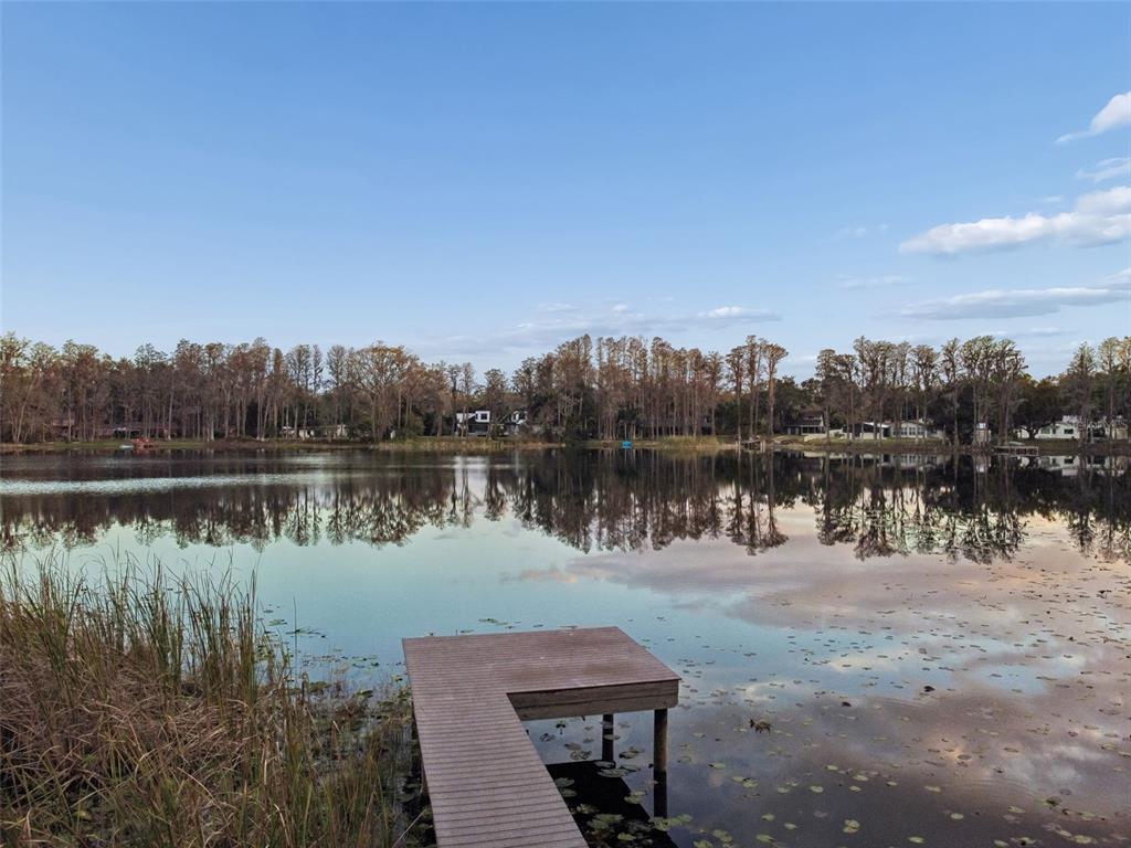 3812 Little Road Lutz, FL 33548 - Photo 86 of 99