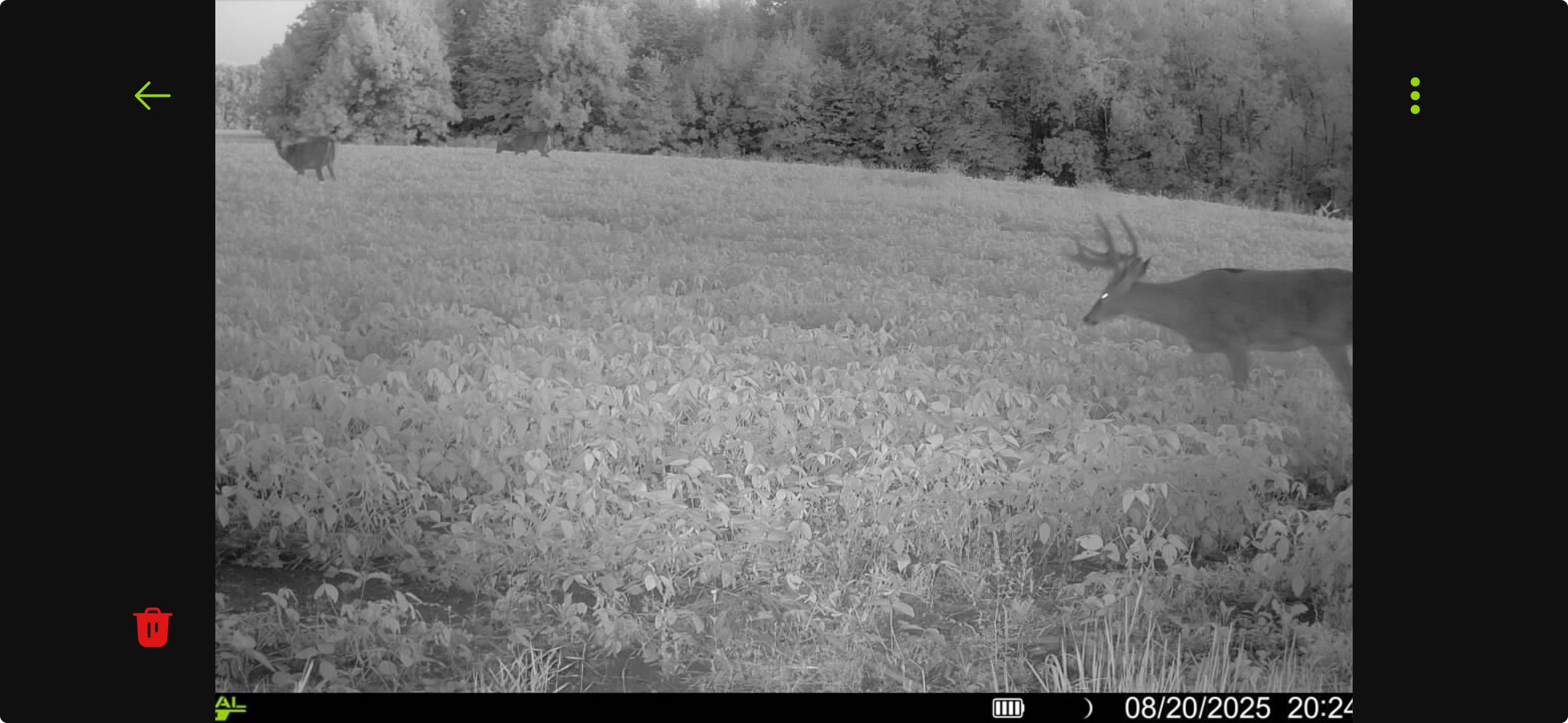 N8771 Fye Road Trego, WI 54888 - Photo 42 of 47