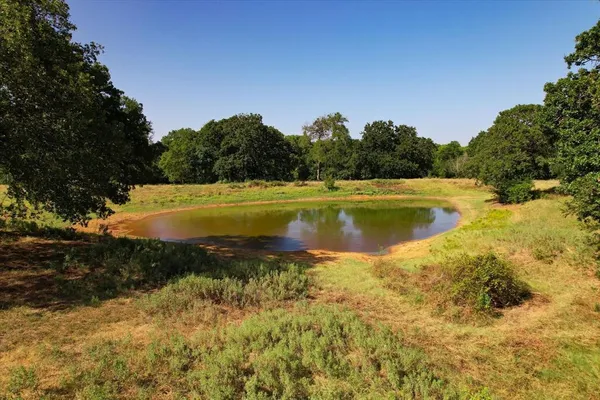 a view of a swimming pool and trees in the background