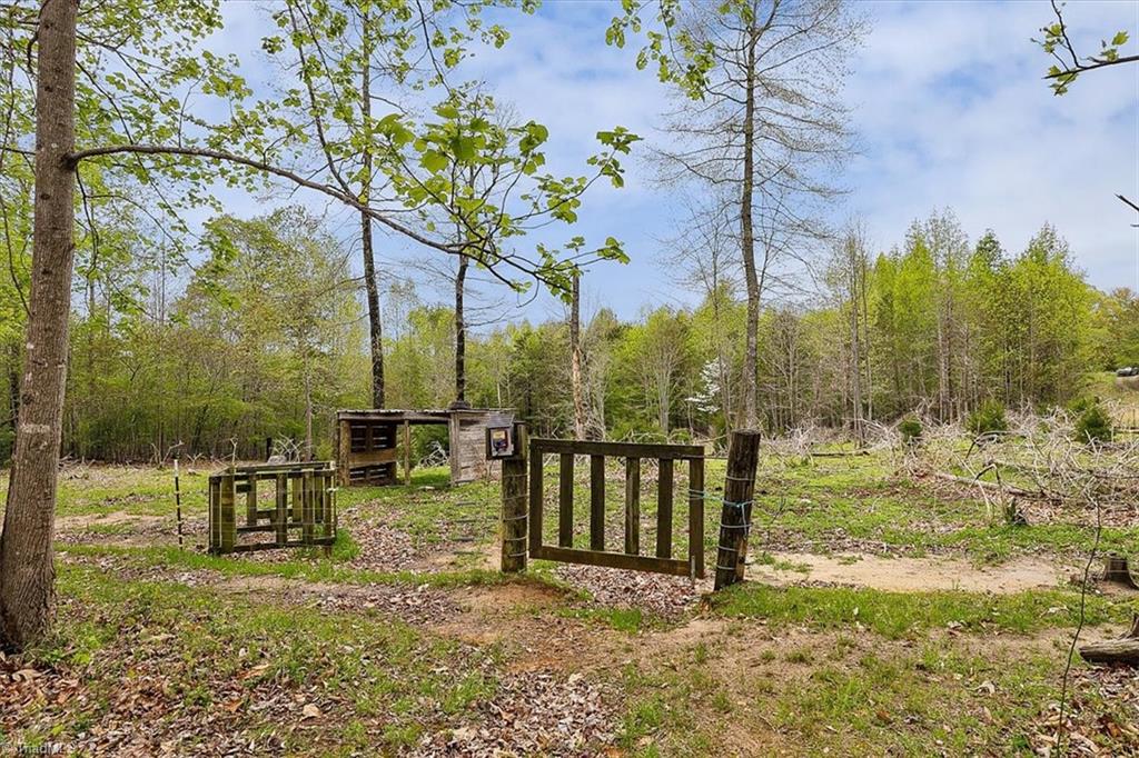 580 Bobcat Road Summerfield, NC 27358 - Photo 8 of 44 Horses Welcome