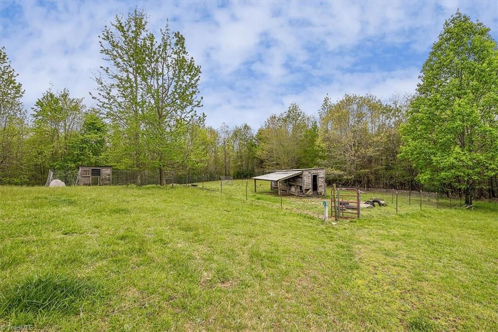 580 Bobcat Road Summerfield, NC 27358 - Photo 9 of 44 Chickens and Goats Welcome