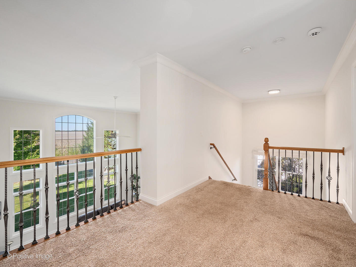 13306 Rosewood Lane Plainfield, IL 60585 - Photo 21 of 52