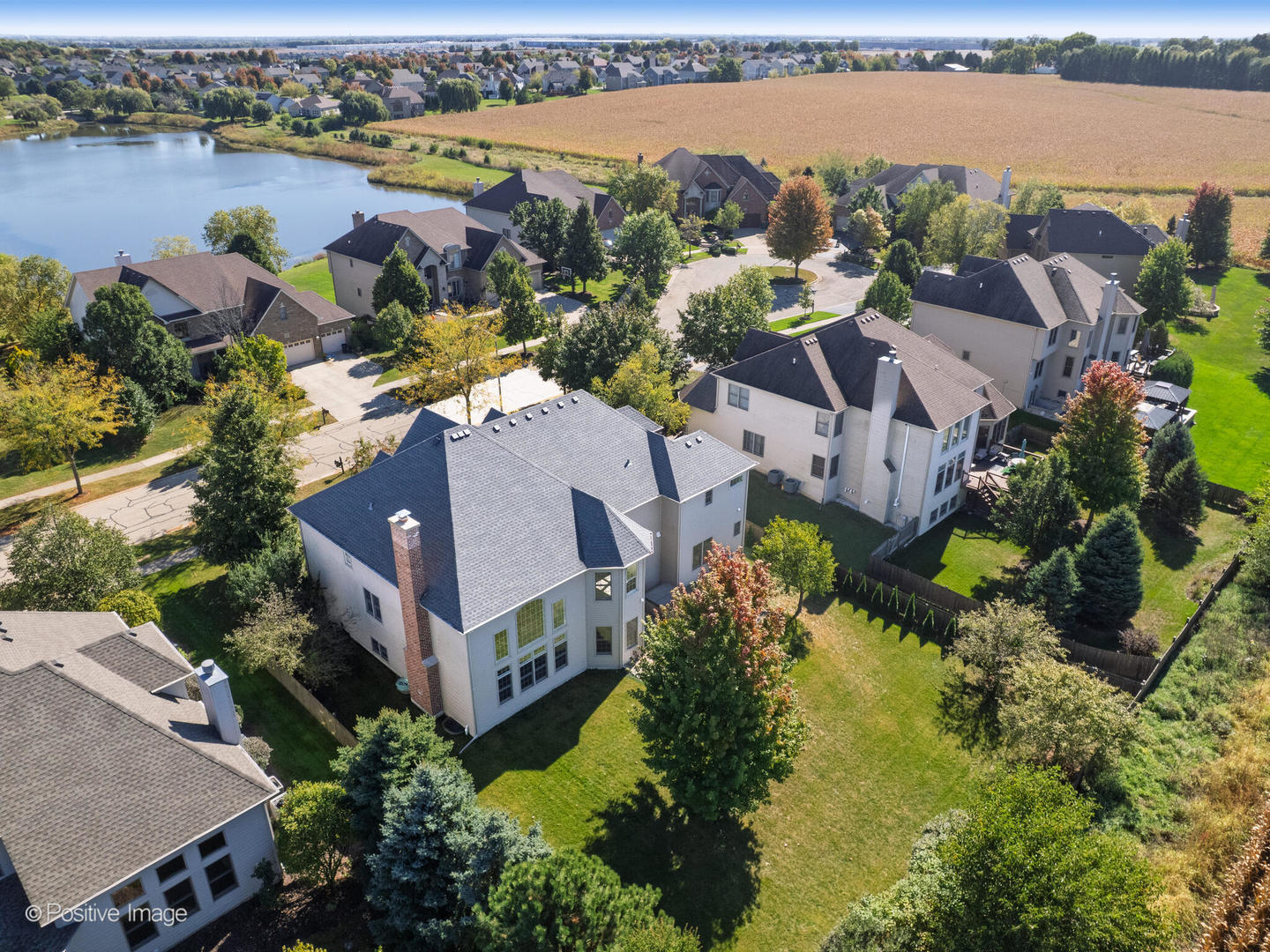 13306 Rosewood Lane Plainfield, IL 60585 - Photo 50 of 52