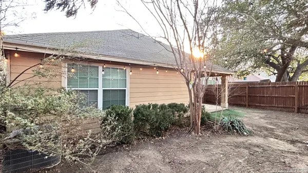a view of backyard with potted plants and large tree