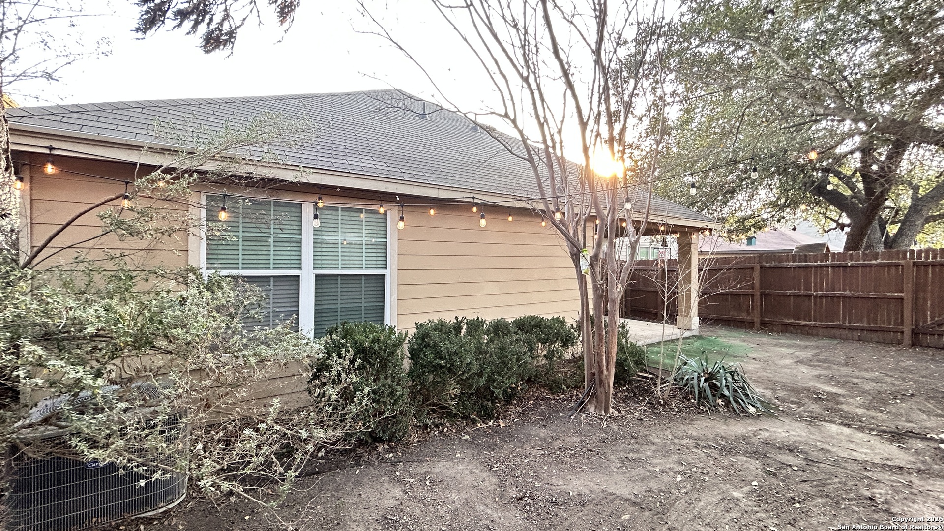 10319 Roadrunner Ridge San Antonio, TX 78245 - Photo 35 of 35 a view of backyard with potted plants and large tree