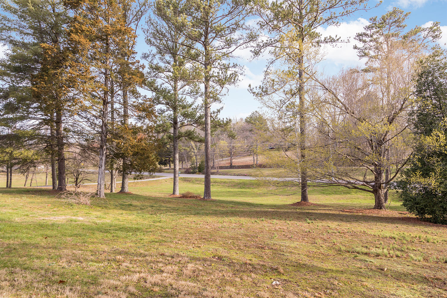 4888 Spring Place Road Southeast Cleveland, TN 37323 - Photo 3 of 21 4888_Spring_Place_Rd_06